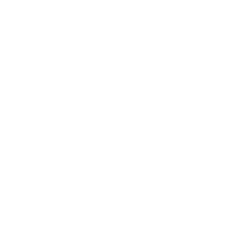 Adobe Solution Partner